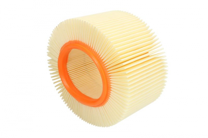 FILTRU AER BMW R 850, R 1110, R1150 [1]