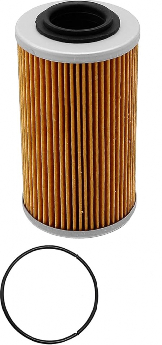 FILTRU ULEI BOMBARDIER 500/650 ATV, SEE DOO, MARINE / BOMBARDIER TRAXTER   / ITALJET [1]