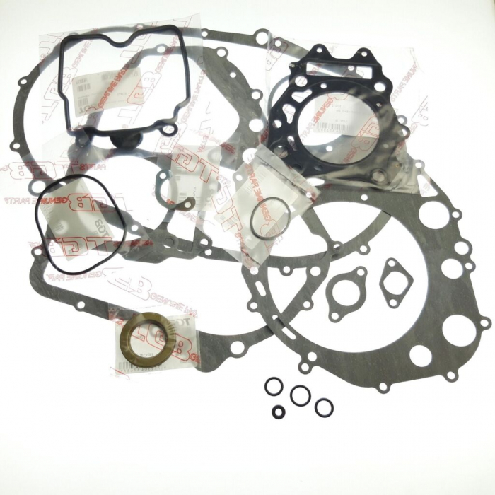 SET COMPLET GARNITURI MOTOR TGB BLADE 425 / TARGET 425 [3]
