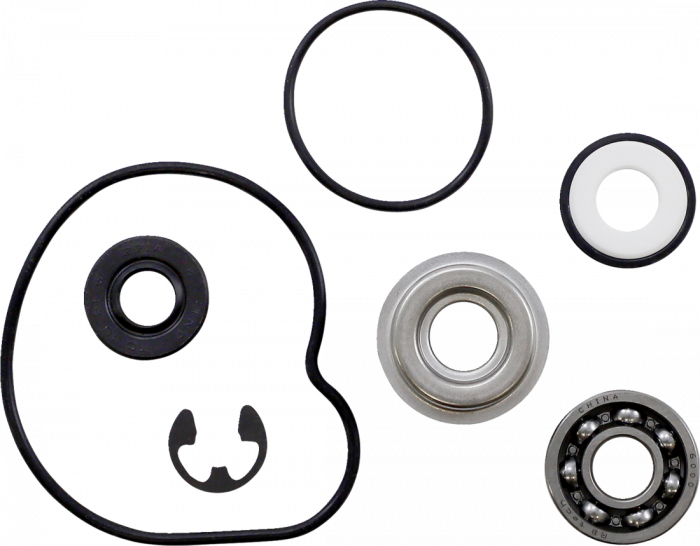 KIT POMPA APA ARCTIC-CAT  500 / 550 / 650 / 700  2005-2019 [1]
