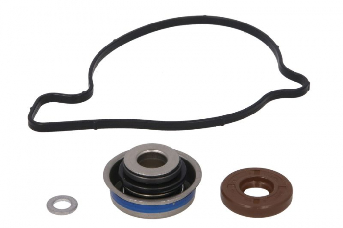 KIT POMPA APA CAN-AM RENEGADE / OUTLANDER / COMMANDER /  MAVERICK G1 / G2 [1]