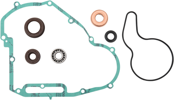 KIT POMPA APA POLARIS RZR 800S '11-14, SPORTSMAN 800 EFI '11-14, RANGER 800 EFI '11-14 [2]