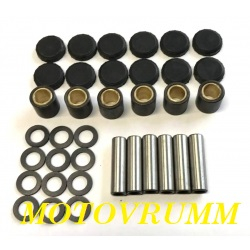 SET ROLE VARIATOR PRIMAR CAN-AM [6]