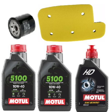 KIT REVIZIE ARCTIC CAT 650  TRV / H1 / LTD  650 H1 AUTOMAT '07-'11 [1]