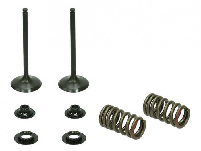 KIT SUPAPE EVACUARE + ARCURI + TALERE HONDA CRF 450R 2002-2008 [1]