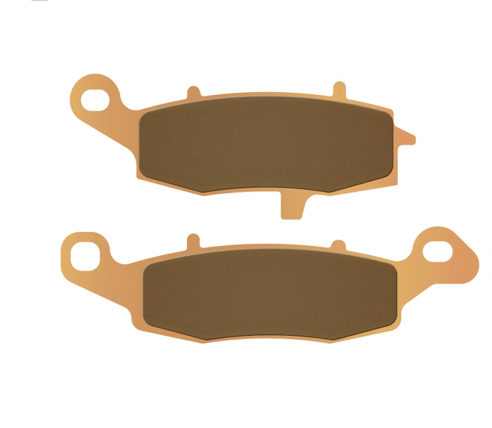 PLACUTE FATA STANGA SINTER KAWASAKI Z750 / SUZUKI SV650 [2]