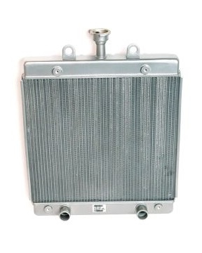 RADIATOR APA SEGWAY  Snarler AT6 S T3b, Snarler AT6 L T3b, Snarler AT6 S E5, Snarler AT6 L E5 [1]