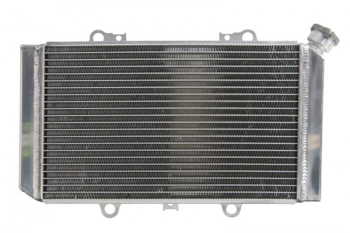 RADIATOR APA YAMAHA GRIZZLY 660 2002-2008 [2]