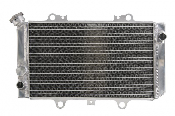 RADIATOR APA YAMAHA GRIZZLY 660 2002-2008 [3]