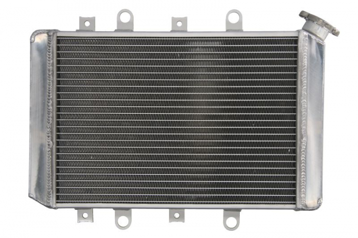 RADIATOR YAMAHA YFM 550/700 GRIZZLY '07 -14 [3]