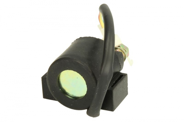 RELEU PORNIRE UNIVERSAL 12V  2 BORNE [3]
