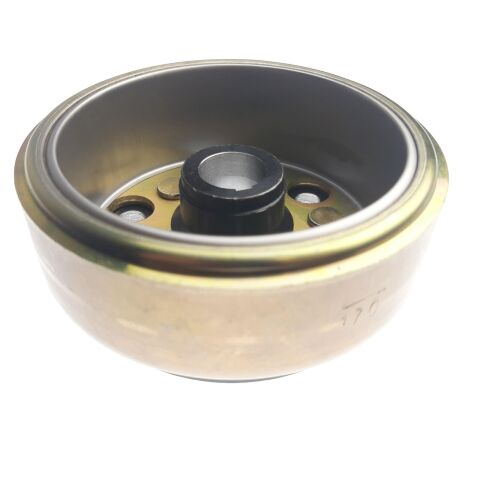 Rotor magnetou Linhai 300 [1]
