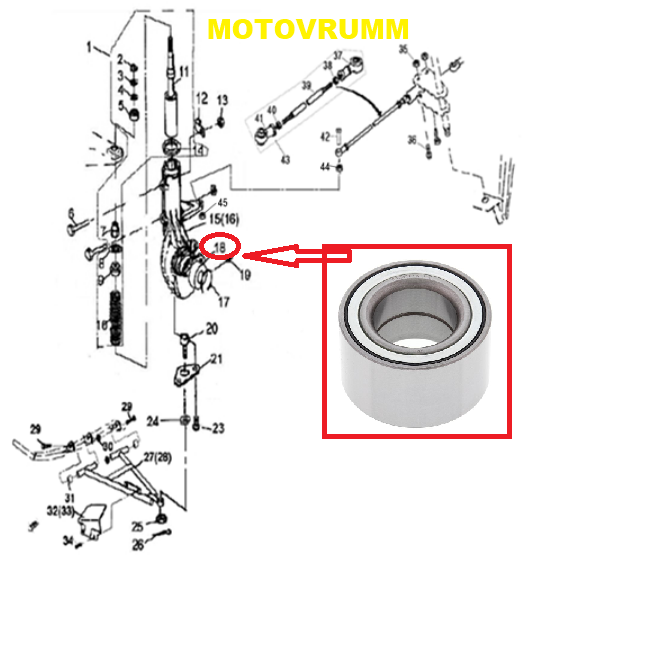 RULMENT ROATA FATA LINHAI 400 / 500 / M550 / M565 / M570 [2]