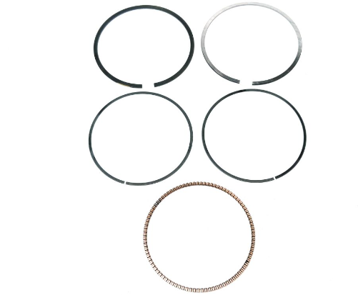 SET SEGMENTI TGB BLADE 600 / TGB TARGET 600 [1]