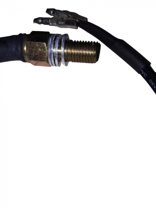 Senzor frana hidraulic M10 MM / pas mare [4]