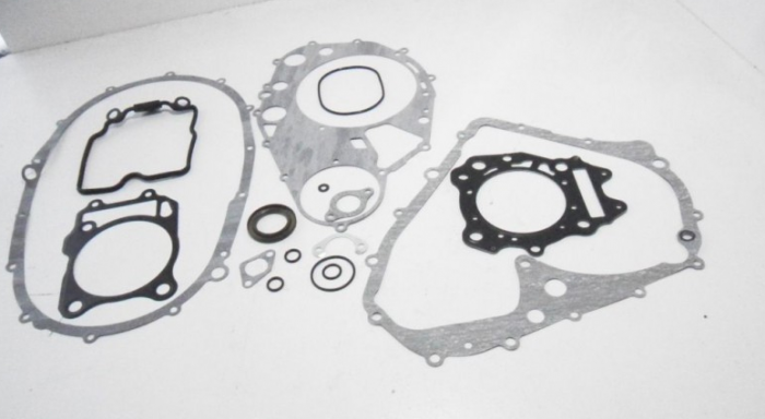 SET GARNITURI MOTOR TGB TARGET 525/550 => TGB BLADE 525/550 [2]