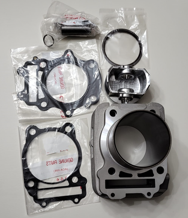 SET MOTOR ARCTIC-CAT 375/400 2001-2009 [2]