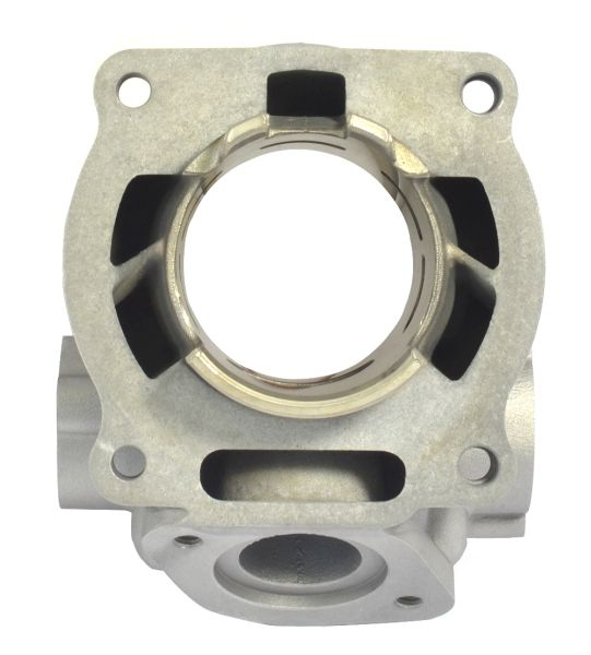 SET MOTOR COMPLET DT/TZR170 [2]