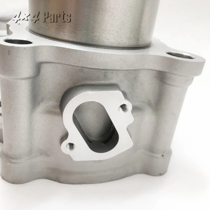 SET MOTOR HISUN 400 ATV / UTV RACIRE APA [5]