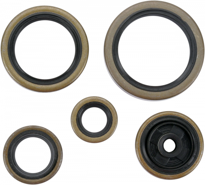 SET SIMERINGURI MOTOR BETA 250 / 300 RR '14-'18 / Xtrainer '13-'18  2T [1]