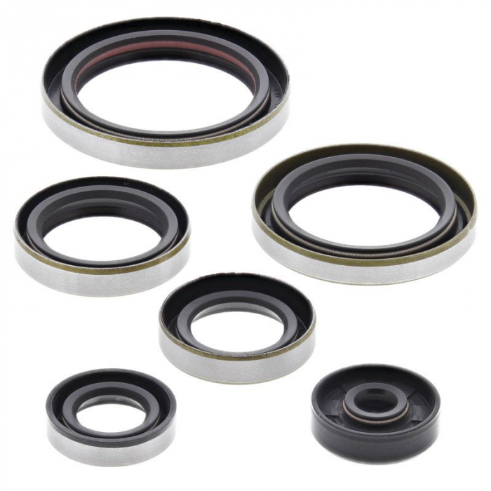 SET SIMERINGURI MOTOR BETA 250 / 300 RR '14-'18 / Xtrainer '13-'18  2T [2]