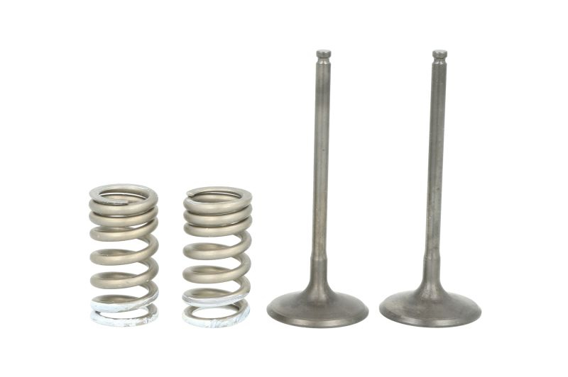 SET SUPAPE ADMISIE + ARCURI SUZUKI RM-Z 250 2007-2025 [1]