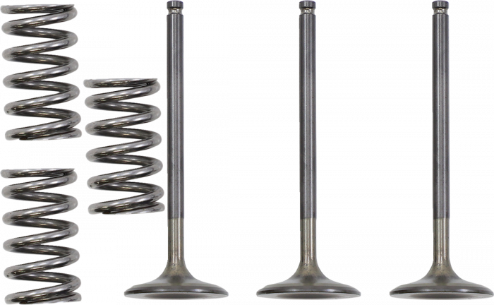 SET SUPAPE ADMISIE + ARCURI YAMAHA YZF 450 (03-09) WRF 450 (03-15) YFZ 450 (04-12) / YFZ450R [1]
