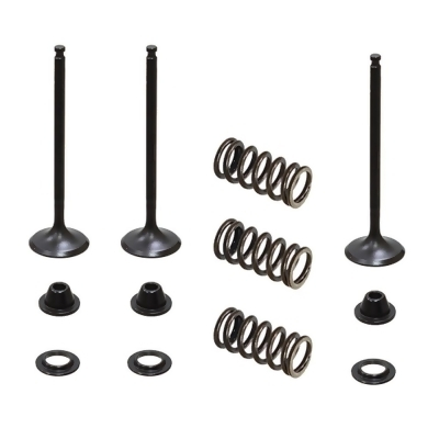 SET SUPAPE ADMISIE + ARCURI + TALERE YAMAHA YZF 250 '01-'13, WR 250 F '01-'13 (WRF250) OȚEL [1]