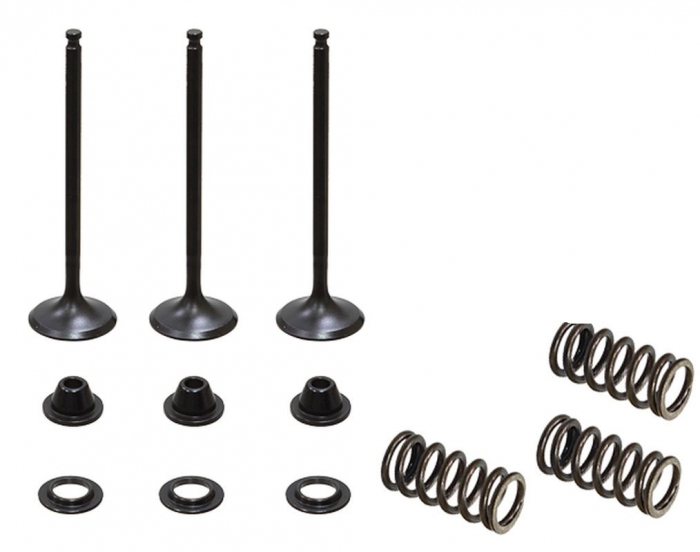 SET SUPAPE ADMISIE + ARCURI + TALERE YAMAHA YZF 250 '01-'13, WR 250 F '01-'13 (WRF250) OȚEL [2]