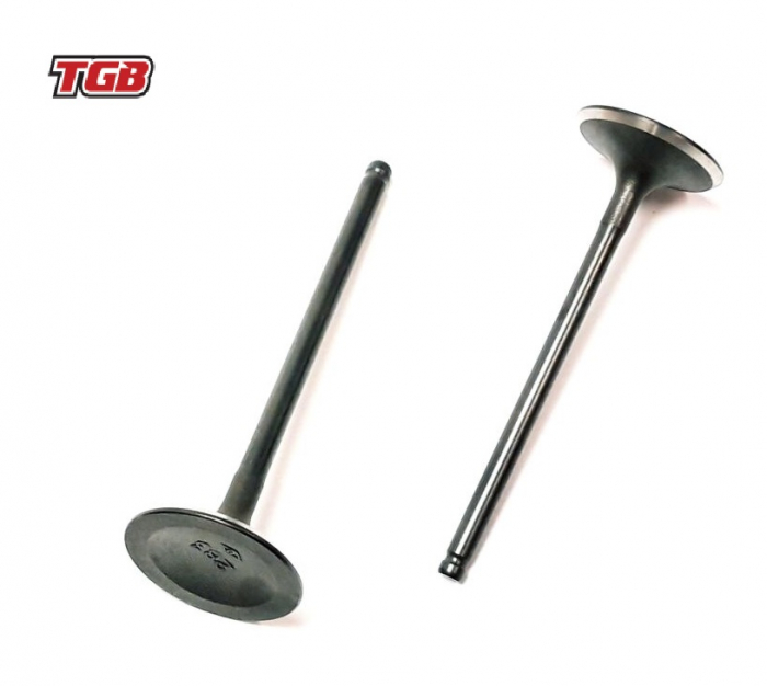 SUPAPA ADMISIE TGB 600 / 1000 BLADE / TARGET [2]