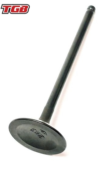 SUPAPA ADMISIE TGB 600 / 1000 BLADE / TARGET [1]