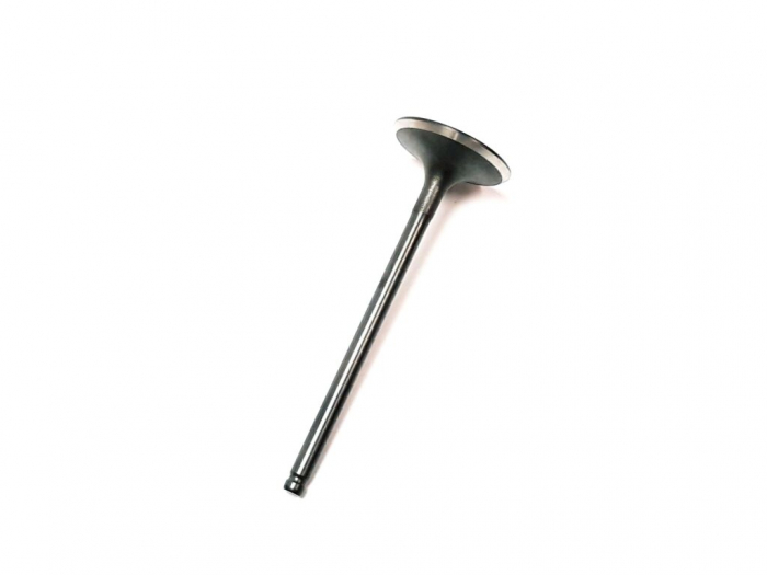 SUPAPA ADMISIE TGB 600 / 1000 BLADE / TARGET [3]