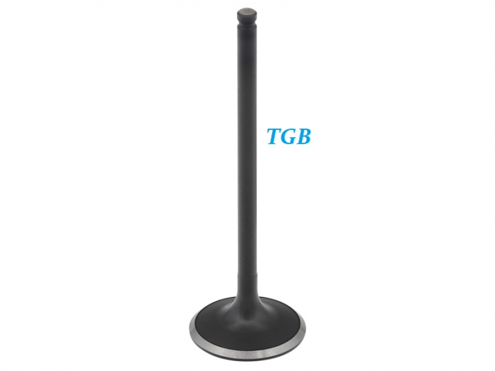 SUPAPA ADMISIE TGB BLADE / TARGET 425 / 500 / 525 / 550 2007-2021 [2]