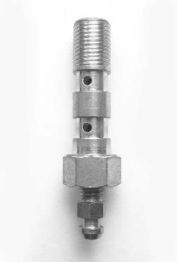 SURUB ETRIER / POMPA FRANA HIDRAULIC FRANA LUNG 10MM [1]