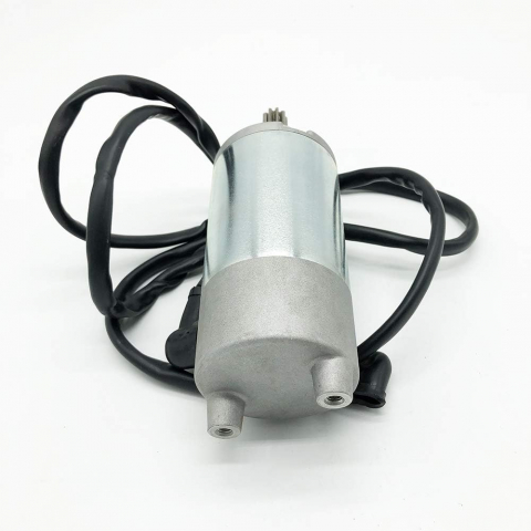ELECTROMOTOR BASHAN, LONCIN, JIANSHE 230-250-300 [1]