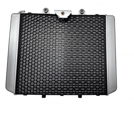 RADIATOR RACIRE CFMOTO CFORCE 850 2023-2025 [1]