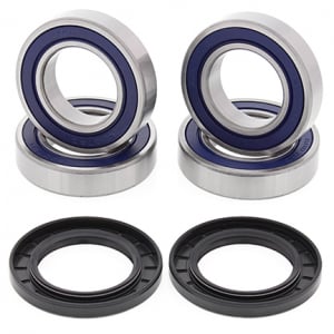 ATV-uri (Piese) - Set de rulmenți și garnituri pentru roțile din spate Arctic Cat 375 2x4 w / AT 02, 375 4x4 w / AT 02, 400 2x4 01, 400 4x4 w / AT 03-04, 400 4x4 w / MT 01-04, 500 4x4 w / AT 00 -02.500 4x4 w / MT 00-01