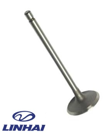 SUPAPA ADMISIE LINHAI 400 / 420 PROMAX T3b [2]