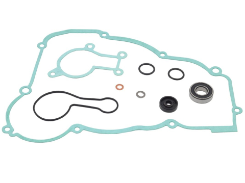 Motor - KIT REPARATIE POMPA APA BETA RR 250/300 '13-'23, 300 X-TRAINER '15-'23