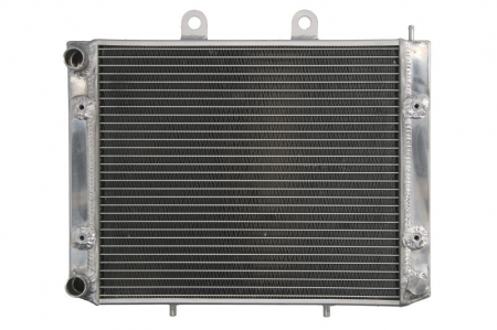 Motor - RADIATOR POLARIS SPORTSMAN 800 2005-2015