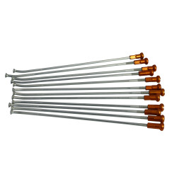 Ktm - SPITE ROATA SPATE 18 195MM  12 BUC /SET ORANGE