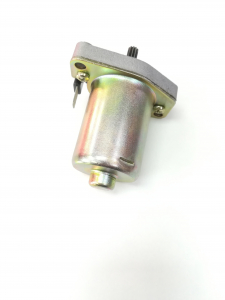 Electromotor YAMAHA Neos/Rally 50cc [1]