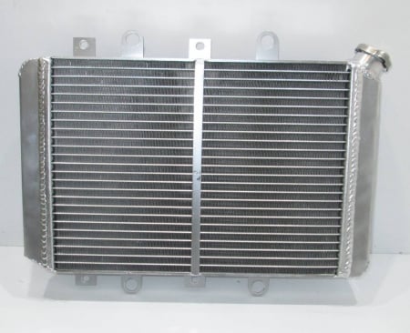 RADIATOR APA YAMAHA GRIZZLY / KODIAK 700 2015-2023 [4]