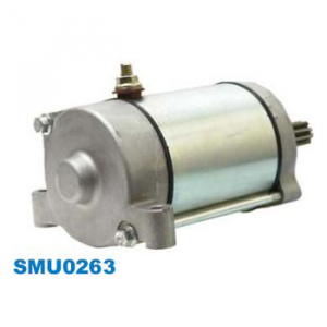 ELECTROMOTOR  YAMAHA YFM 400/450/600/660 GRIZZLY, YFM 400 KODIAK 00-06, RHINO 450/660 [2]