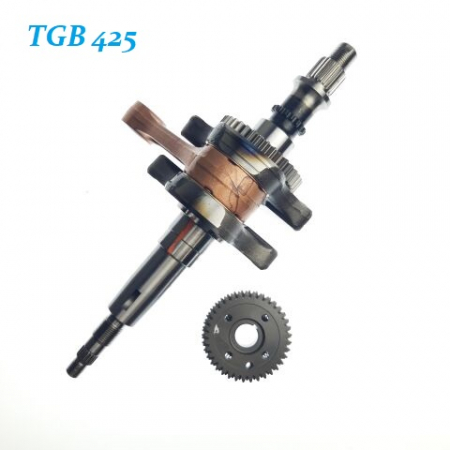 Ambielaj complet TGB 425 924059-S [2]