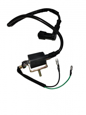 BOBINA INDUCTIE ATV 110  / 125 PRINDERE 1 SURUB [2]