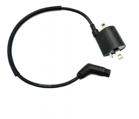 BOBINA INDUCTIE LINHAI 260/300/400/500cc [1]