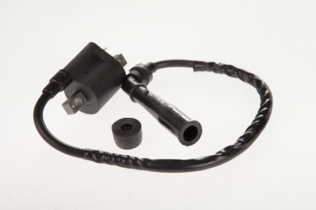 BOBINA INDUCTIE YAMAHA RAPTOR / GRiZZLY 660  / BIGBEAR 400 /  Suzuki LT-Z 400 / LT-A 500 [1]