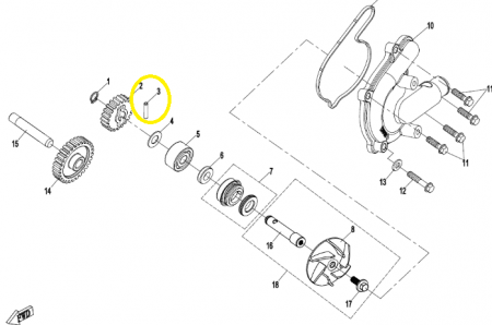 BOLT PINION POMPA ULEI / POMPA APA  CFMOTO 4X21.8MM [1]