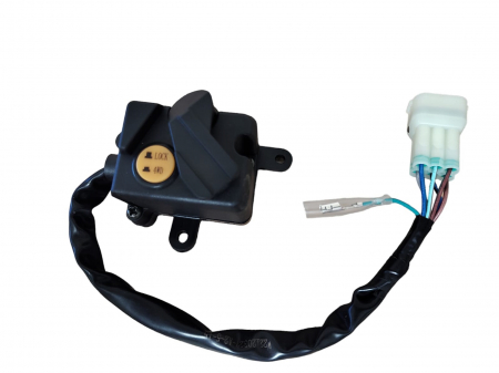 Electrice - COMUTATOR ACCELERATIE 2X4 / 4X4 ODES 800/1000 LZ ,Dominator, Raider, Ravager X2,X4